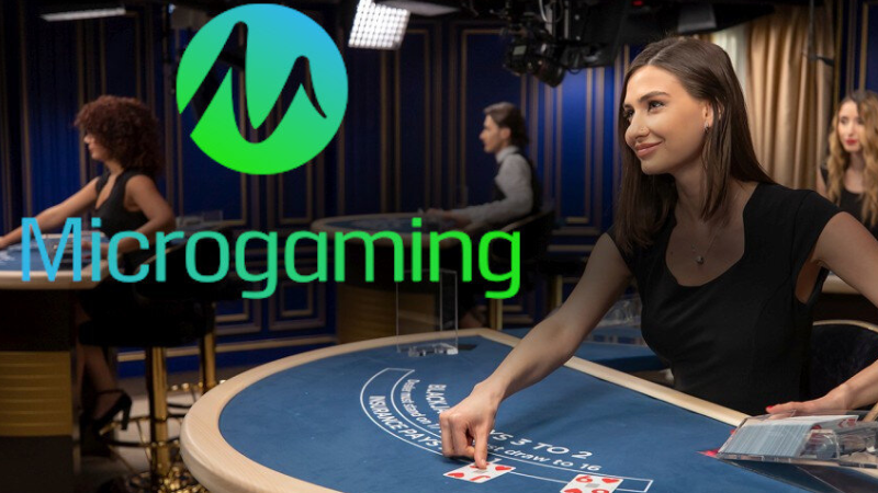 พาส่อง บริการของ Microgaming มีระบบอะไรบ้าง